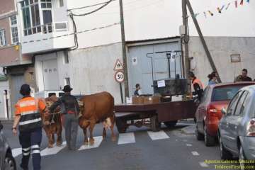 Romerías del Carmen en Marpequeña, Medianía y Las Huesas (Foto TF y TA)